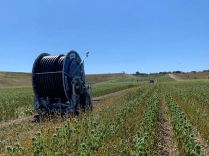 Bild 2:Biete Lohnbewässerung ab 2024