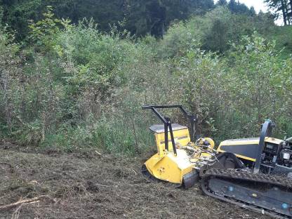 Bild 4:Landschaftspflege