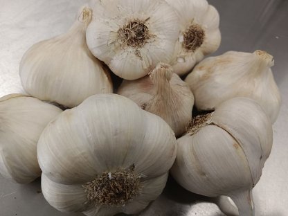 Bild 2:Knoblauch 2025