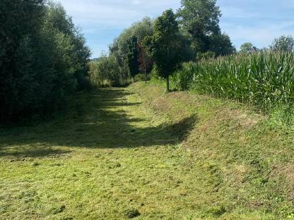 Bild 3:Mäharbeiten Mulcharbeiten Steilhangmulchen Böschungsmulchen