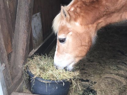 Bild 3:Heu auf Bestellung