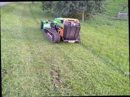 Bild 2:Mulchen/Böschungsmulchen