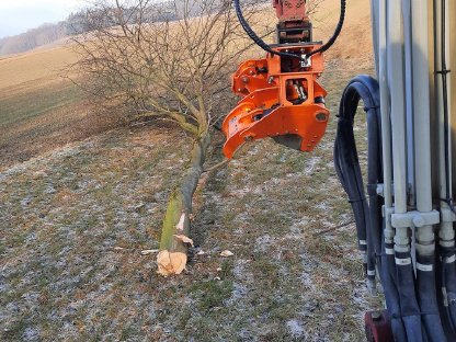 Bild 5:Lohnarbeit mit  Woodcracker