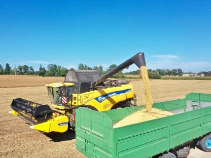 Bild 6:SOJAERNTE mit FLEXschneidwerk