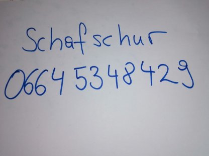 Bild 5:Klauenpflege bei Schafen und Ziegen