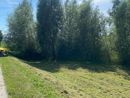 Bild 5:Mäharbeiten Mulcharbeiten Steilhangmulchen Böschungsmulchen