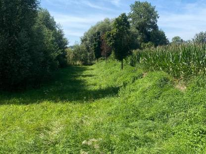 Bild 2:Mäharbeiten Mulcharbeiten Steilhangmulchen Böschungsmulchen