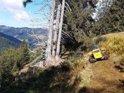 Bild 2:Landschaftspflege