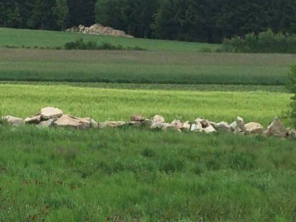 Bild 3:Steine, Findlinge