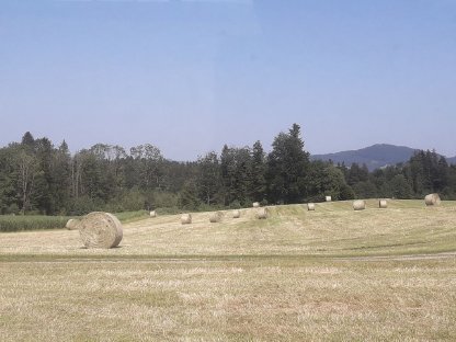 Bild 4:Heu auf Bestellung