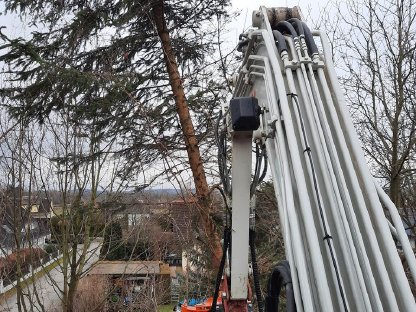 Bild 7:Lohnarbeit mit  Woodcracker