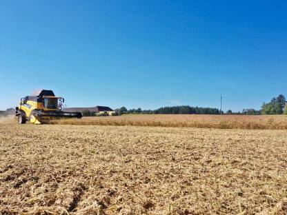 Bild 5:SOJAERNTE mit FLEXschneidwerk