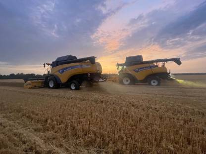 Bild 4:Lohndrusch Soja