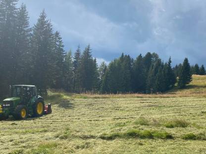 Bild 2:Schlögeln / Mulchen