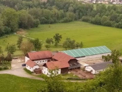 Pferde Einstellplätze in 4.800 Attnang-P, frei