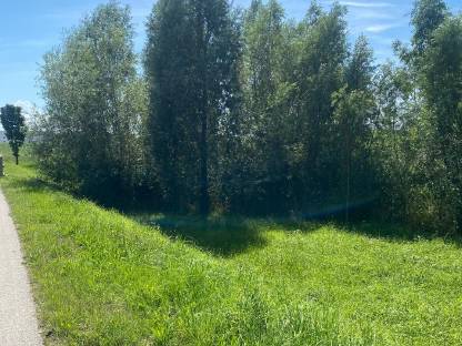 Bild 4:Mäharbeiten Mulcharbeiten Steilhangmulchen Böschungsmulchen