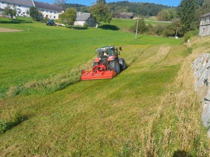 Bild 2:Mulcharbeiten mit Tehnos 280 Mulcher