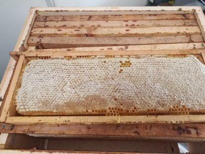 Bild 2:Bio Honig aus dem Kamptal