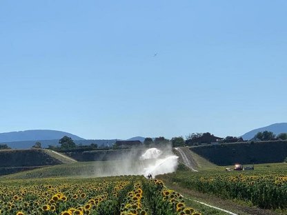 Bild 3:Biete Lohnbewässerung ab 2024