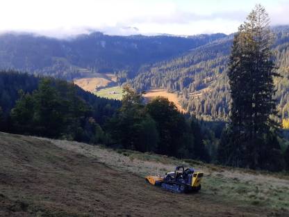 Bild 3:Landschaftspflege