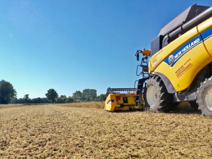 Bild 4:SOJAERNTE mit FLEXschneidwerk