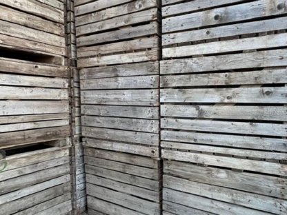 Bild 3:Kisten 150x120x100