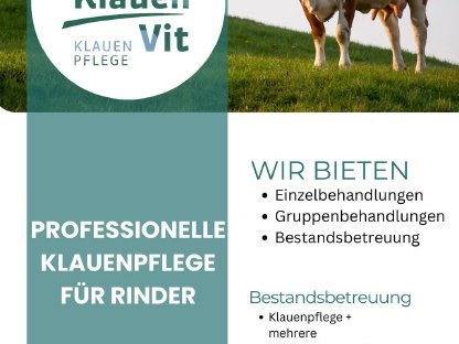 Bild 2:Biete professionelle Klauenpflege