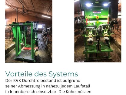 Bild 5:Biete professionelle Klauenpflege