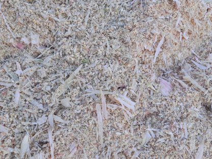 Bild 7:Lieschkolbensilage