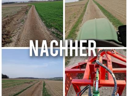 Bild 2:Feldwegpflege