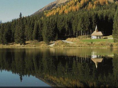 Bauernhof in Österreich gesucht