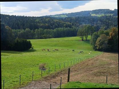 Einstellplätze auf Kurtispferdehof in Ligist