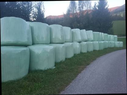 Silageballen 1. Schnitt