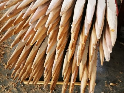 Bild 2:Zaunpflöcke Eiche