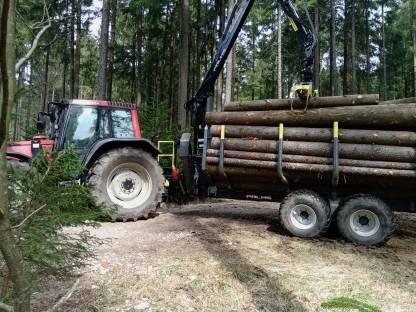 Palms H10 mit K5.72