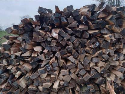 Brennholz 1 m Meterscheiter Holz Buchenholz