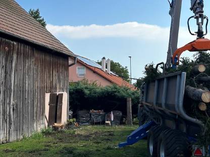 Bild 2:Dienstleistung im Bereich Forst