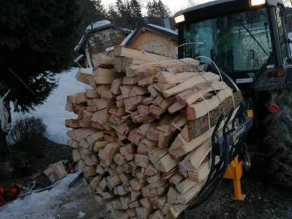 Brennholz, Holz