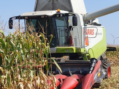 Bild 2:Lohndrusch in Sachsen-Anhalt