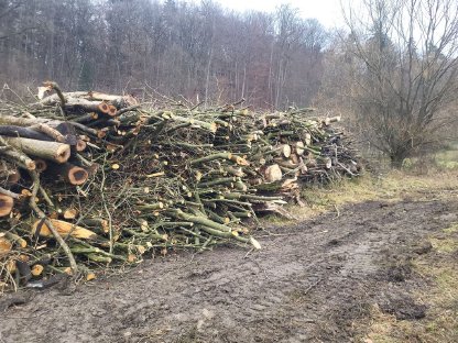 Bild 4:Erdbewegung und Agrarservice Schrötter