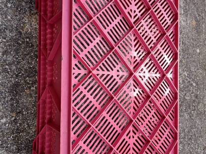 Bild 3:Kunststoffkisten 60 x 40 x 25 cm