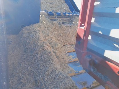 Bild 4:Lieschkolbensilage