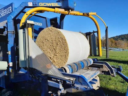 Bild 3:Lieschkolbensilage