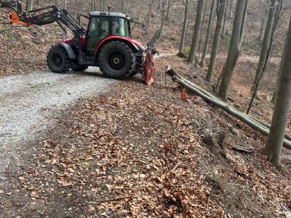 Bild 6:Dienstleistung im Bereich Forst