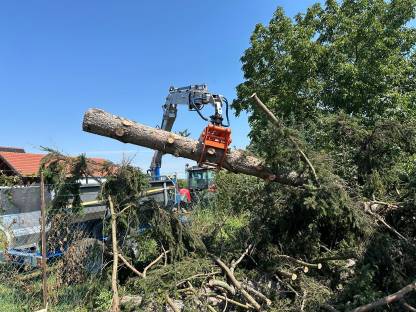 Bild 3:Dienstleistung im Bereich Forst