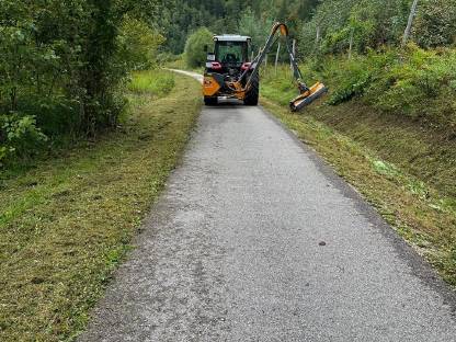 Bild 2:Böschungsmulchen, Böschungsmähen, Auslegemulcher