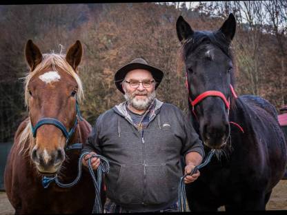 Pflege und Reitbeteiligung