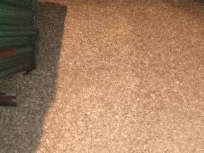 Bild 3:Verkaufe Hackgut G30 Material getrocknet