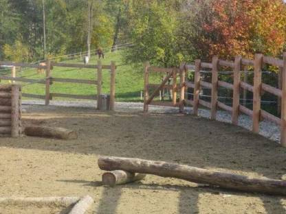 Einstellplatz im Offenstall