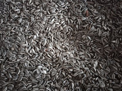 Bild 3:Vogelfutter gestreifte Sonnenblumenkerne im Big Bag